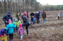 Sadzenie lasu z udziałem dzieci na terenie Nadleśnictwa Przytok