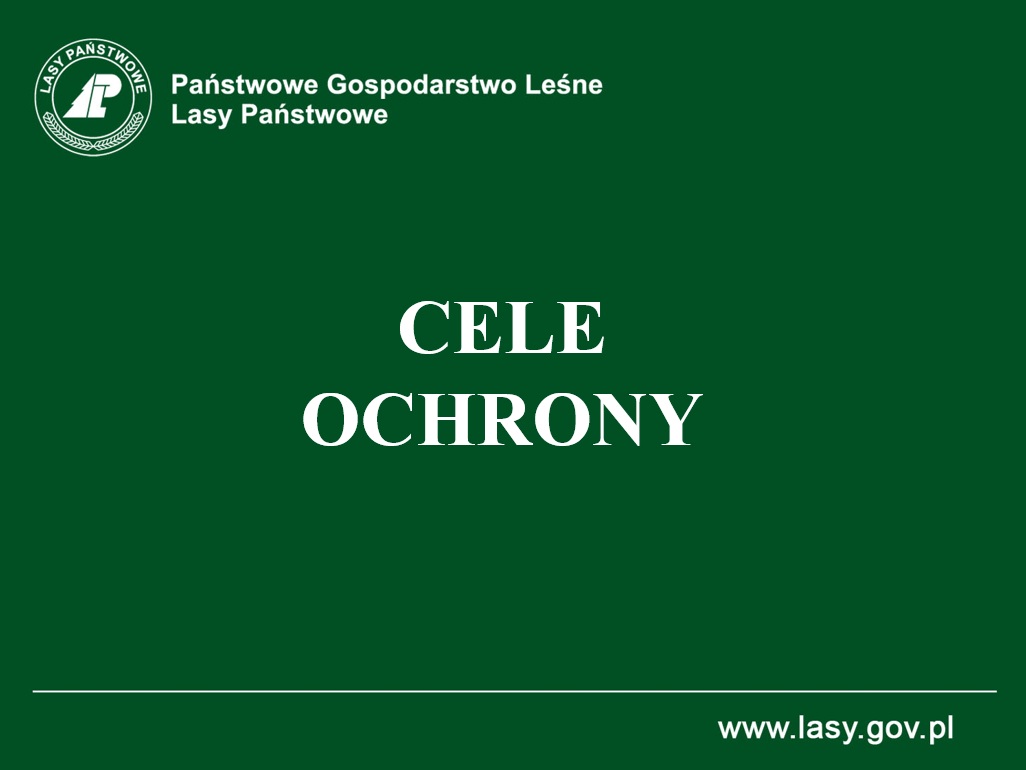 Cele ochrony