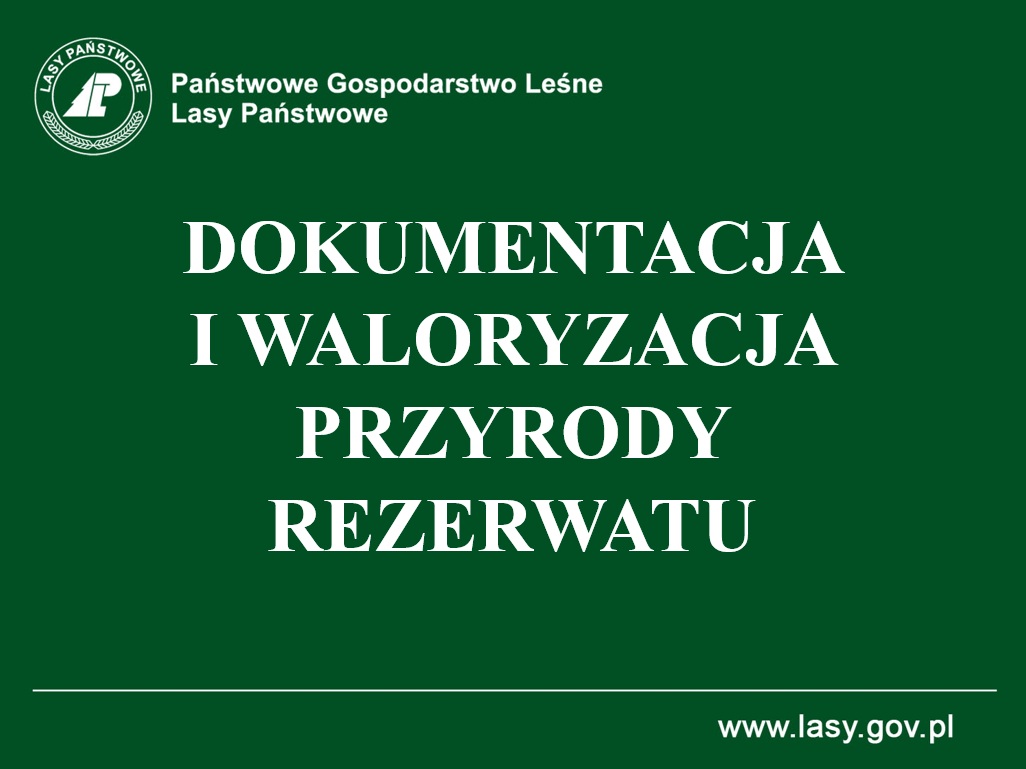 Dokumentacja i waloryzacja przyrody rezerwatu