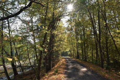 rezerwat przyrody Zielonogórski Las Odrzański w obiektywie